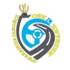 logo OSK Zbyszek